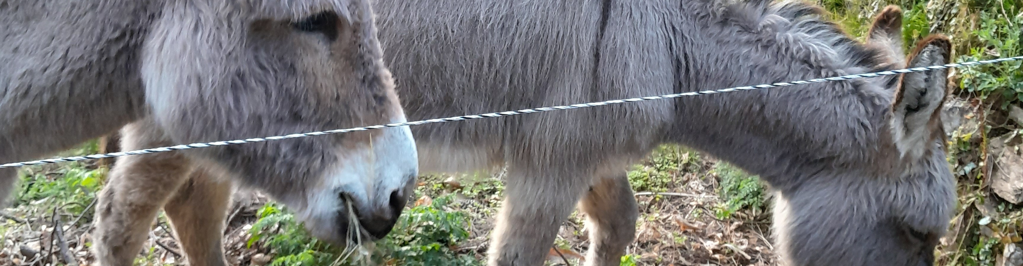 philanethropie@gmail.com