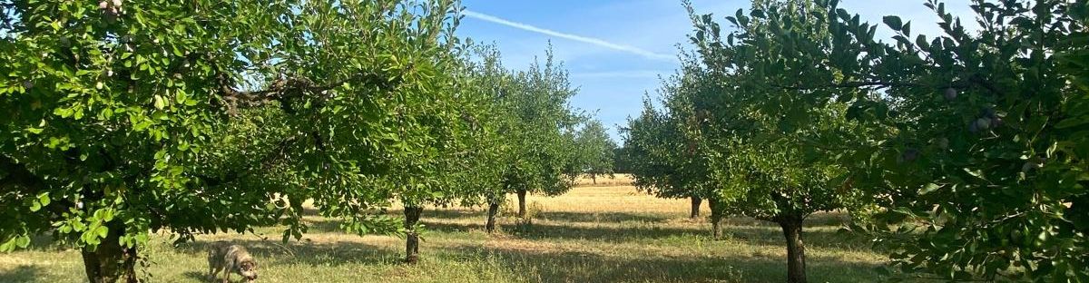 La Ferme de Brocard