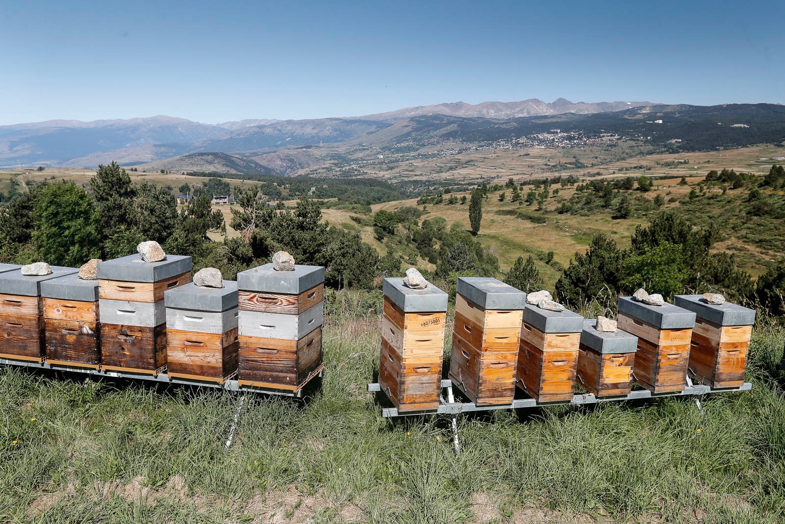 La Miellerie du Cambre