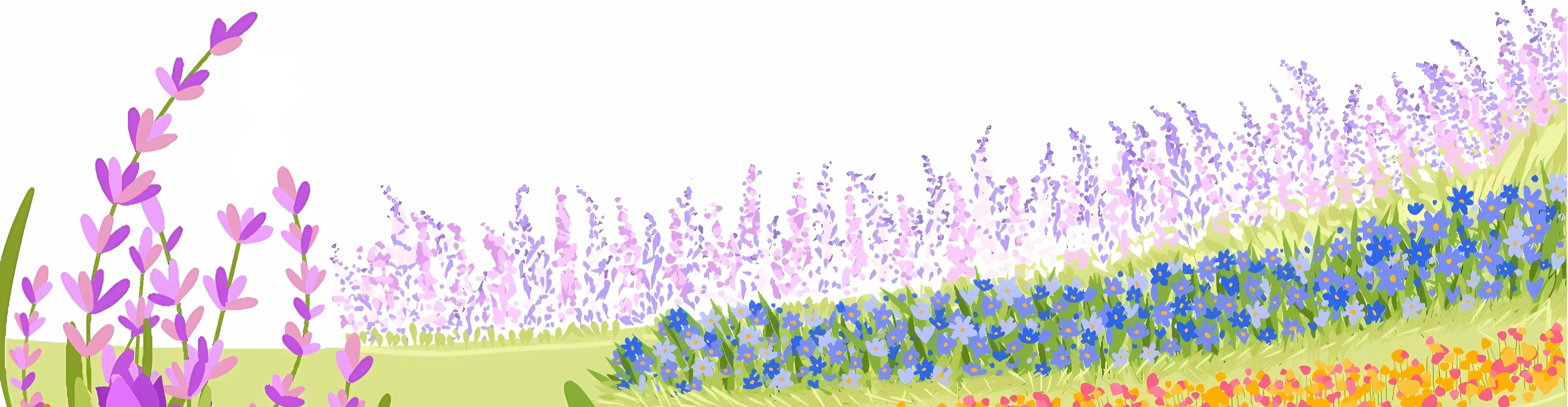 Les fleurs du Courtil