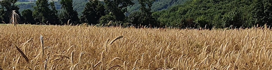 Earl Les Oliviers De Brassagou