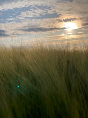 Les Huiles de Joséphine -Fleurs et poudre d'Iris