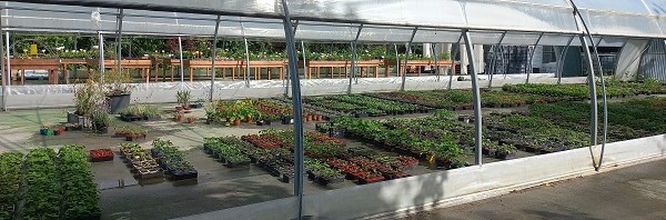 Le jardin des connivences