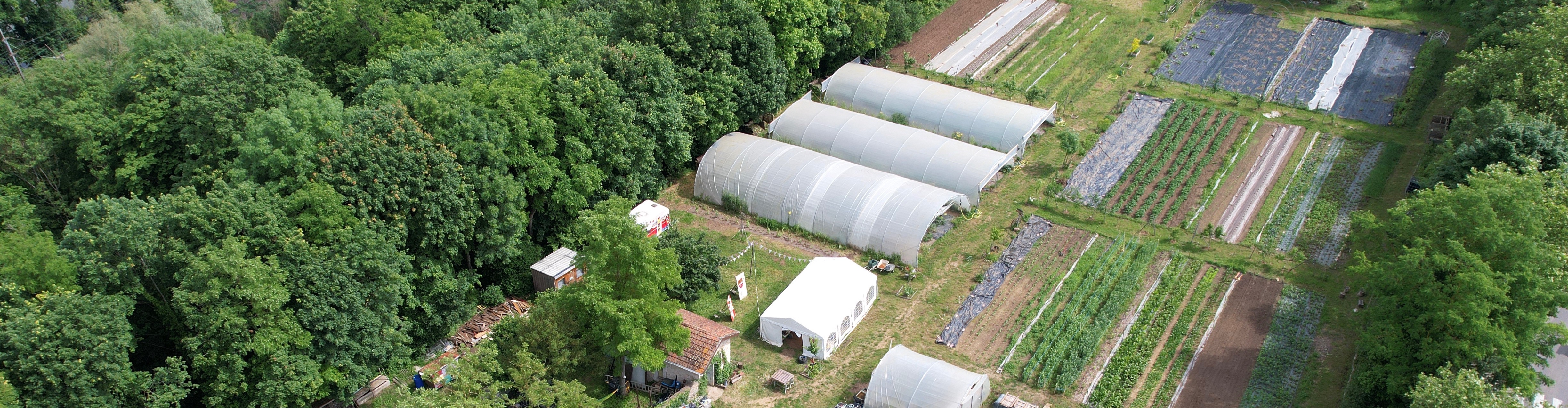 L'Arbre de Vie, micro-ferme créative