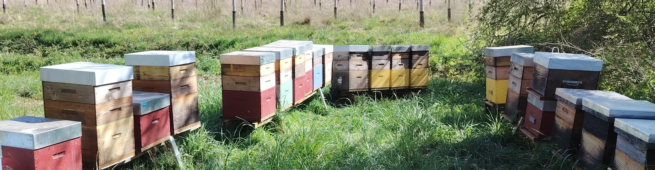 Les Ruchers de la Larine