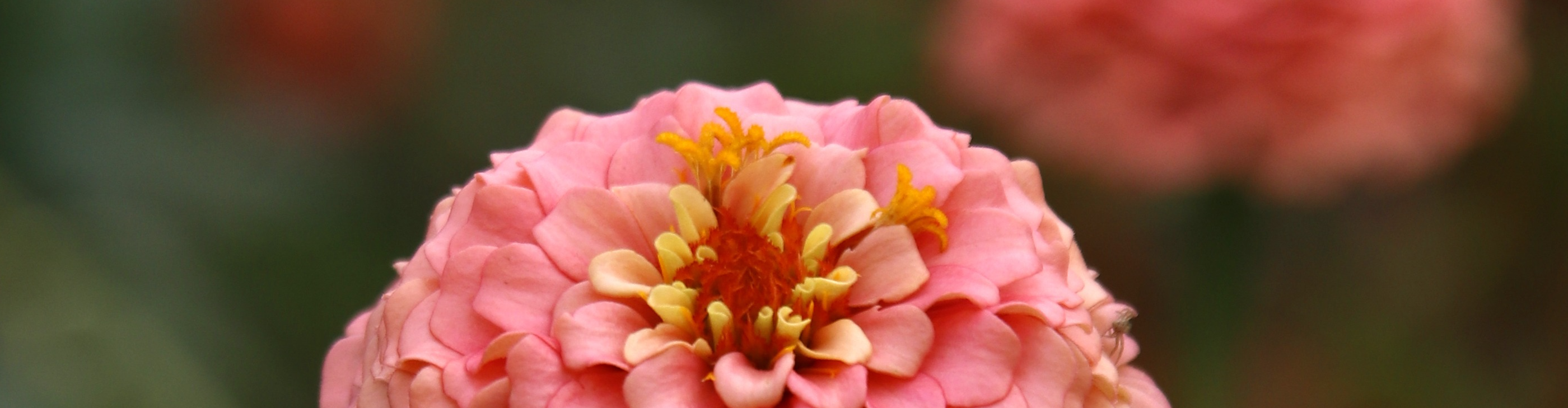 Ferme de l'Héritier