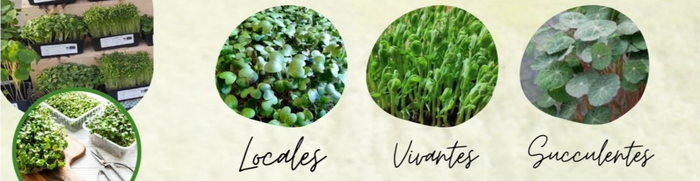 Les Joyeuses Pousses