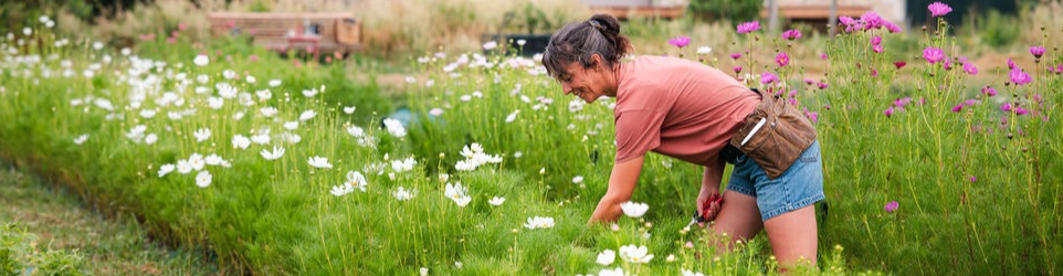 Ferme florale de la Galagère