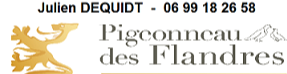 Flandre Pigeonneau