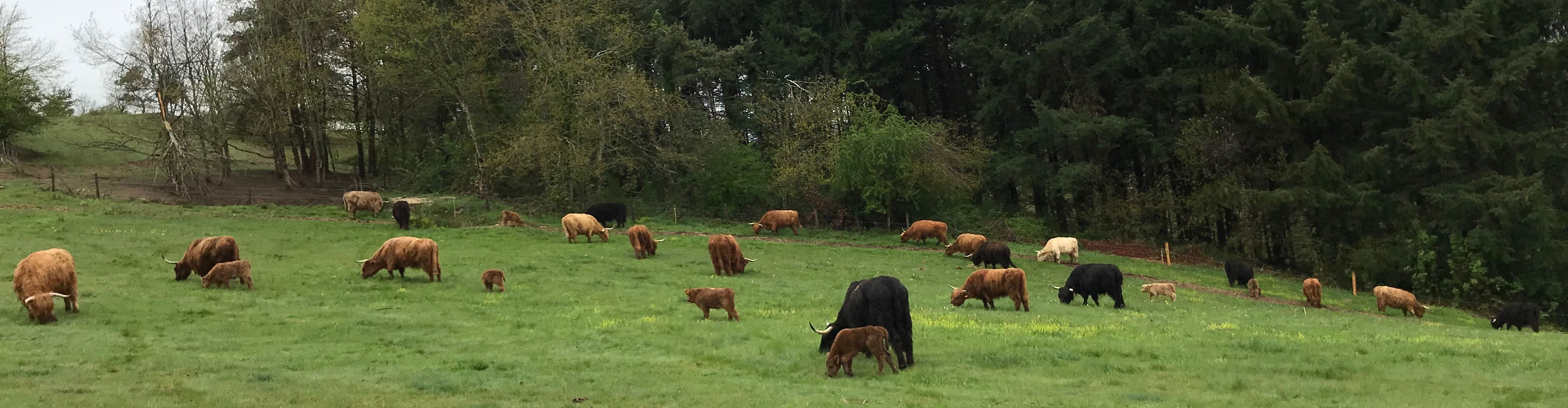 Ferme du Mont Celley