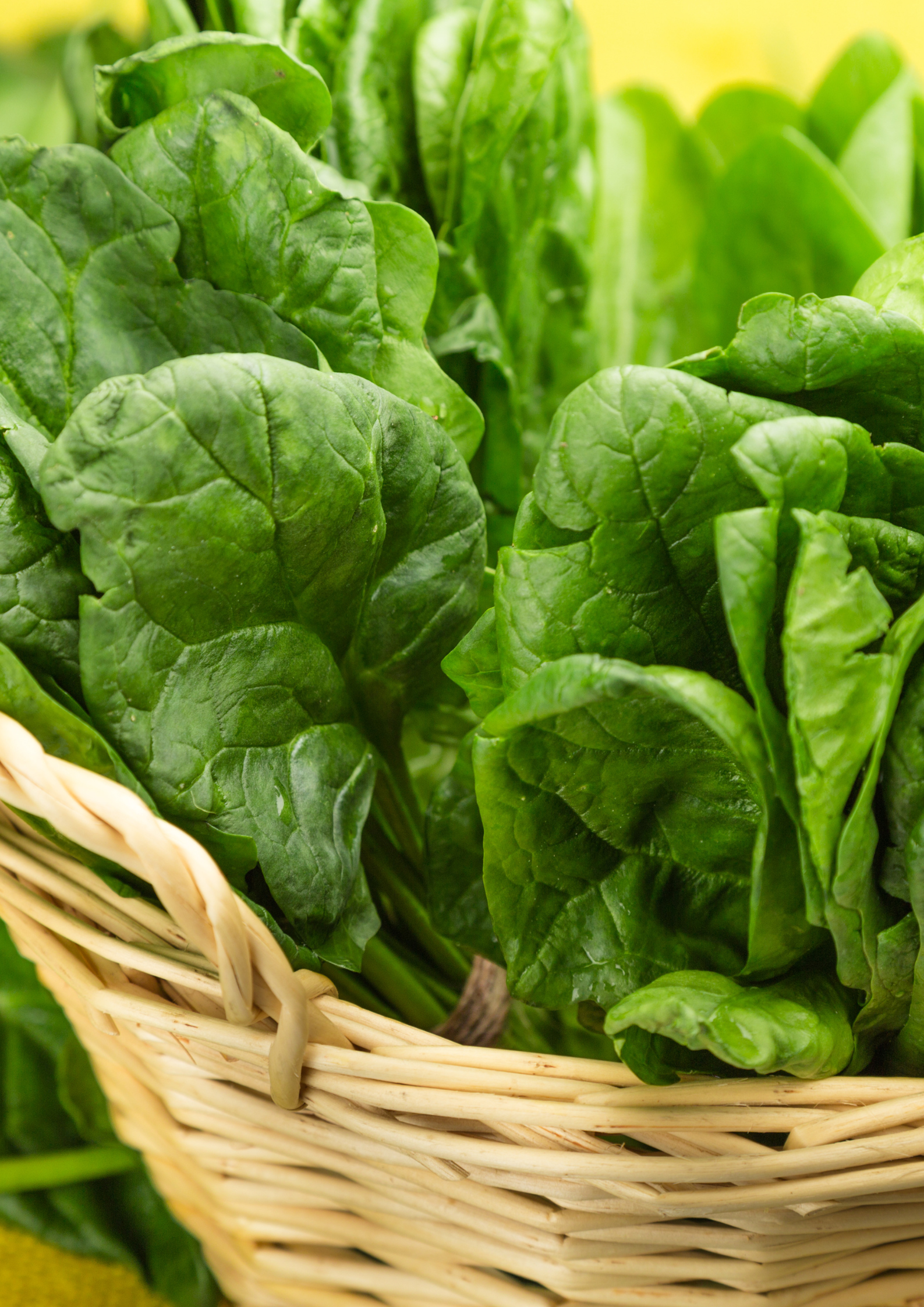 La Ferme en Goguette