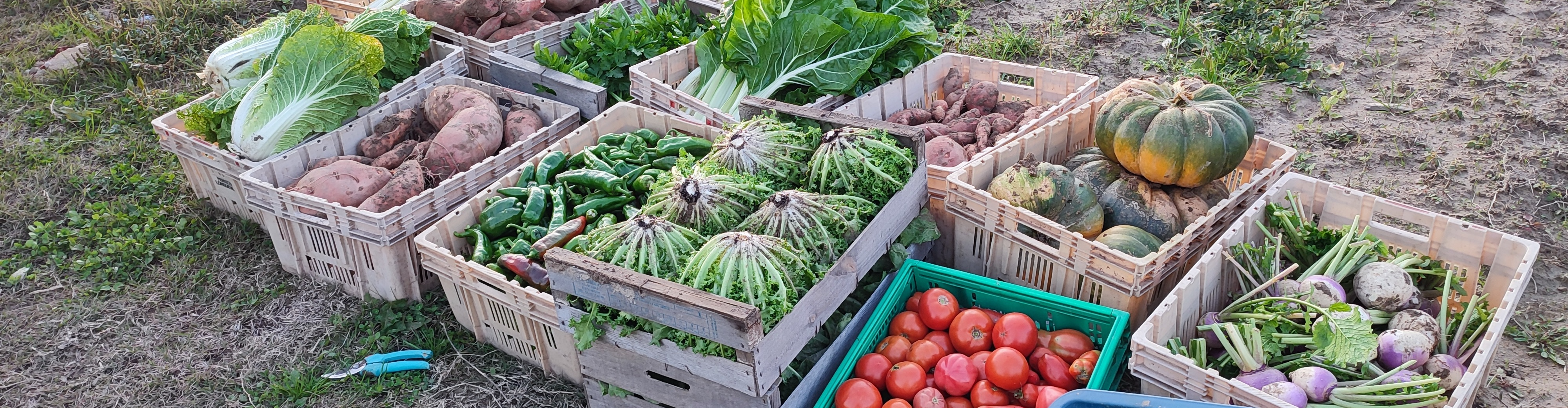 Les jardins de 13 vents