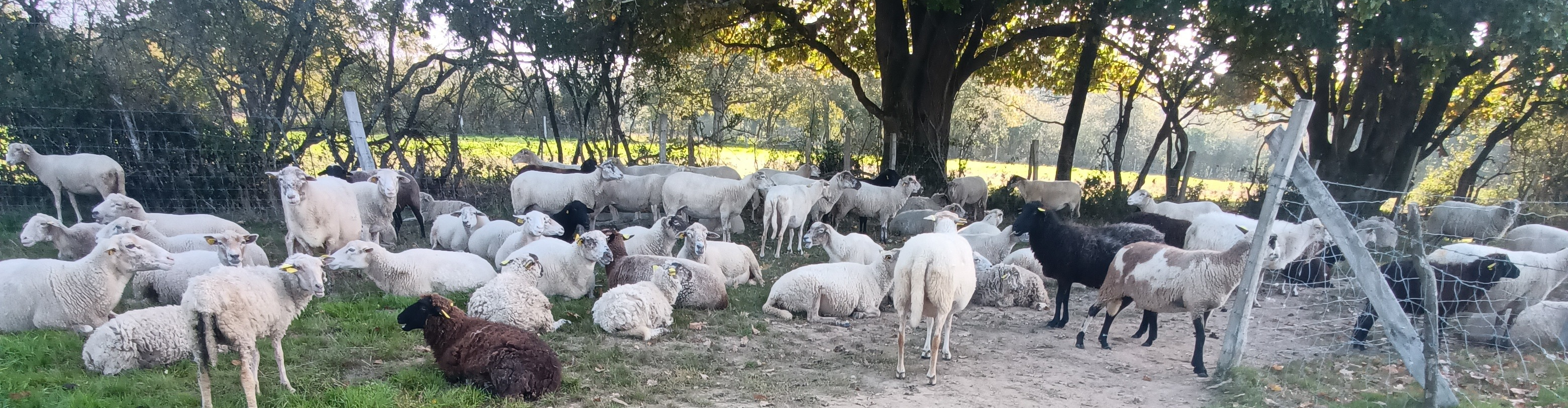 La Blain Belle Ferme 