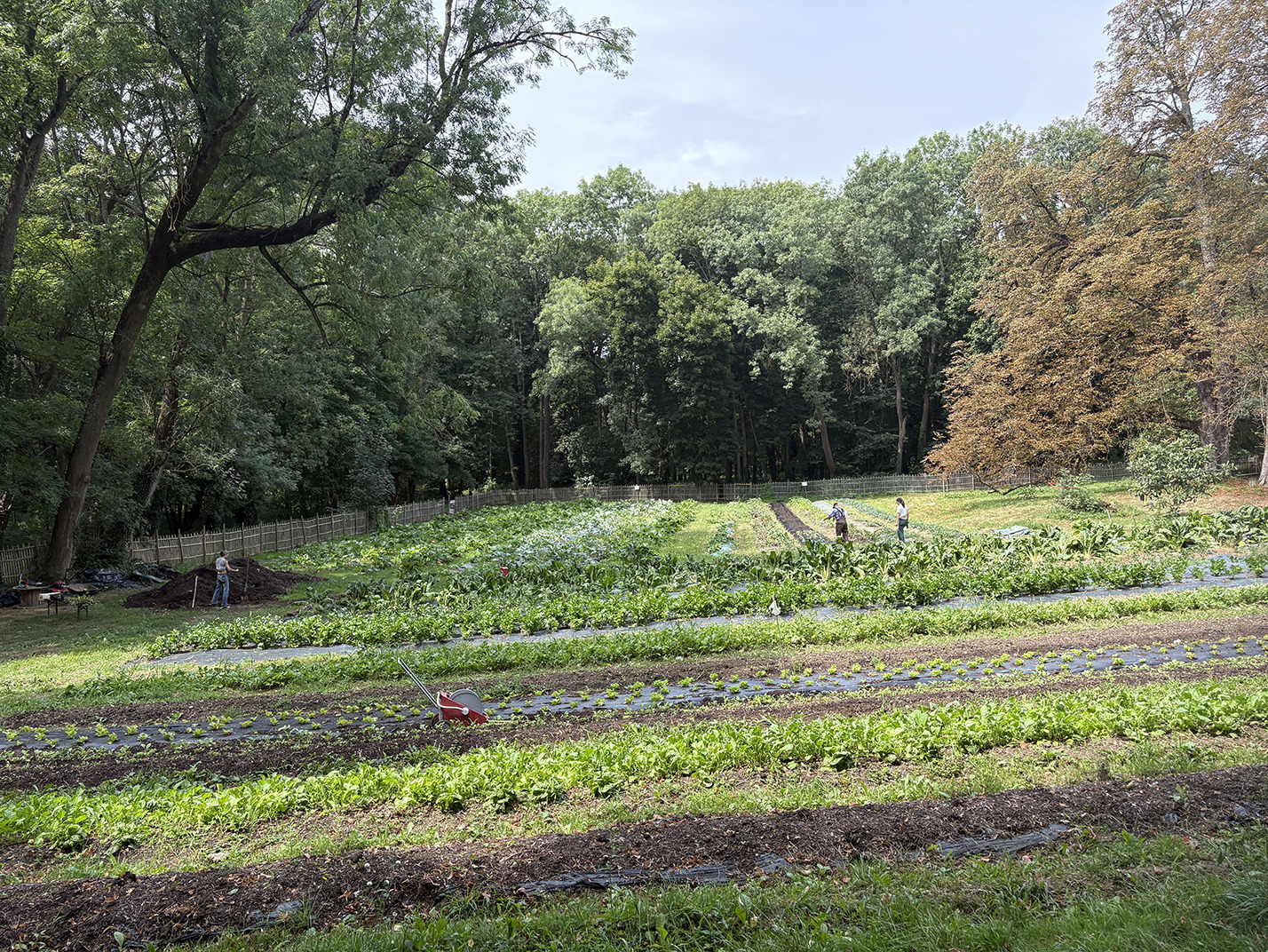 Le Marché de Sillery