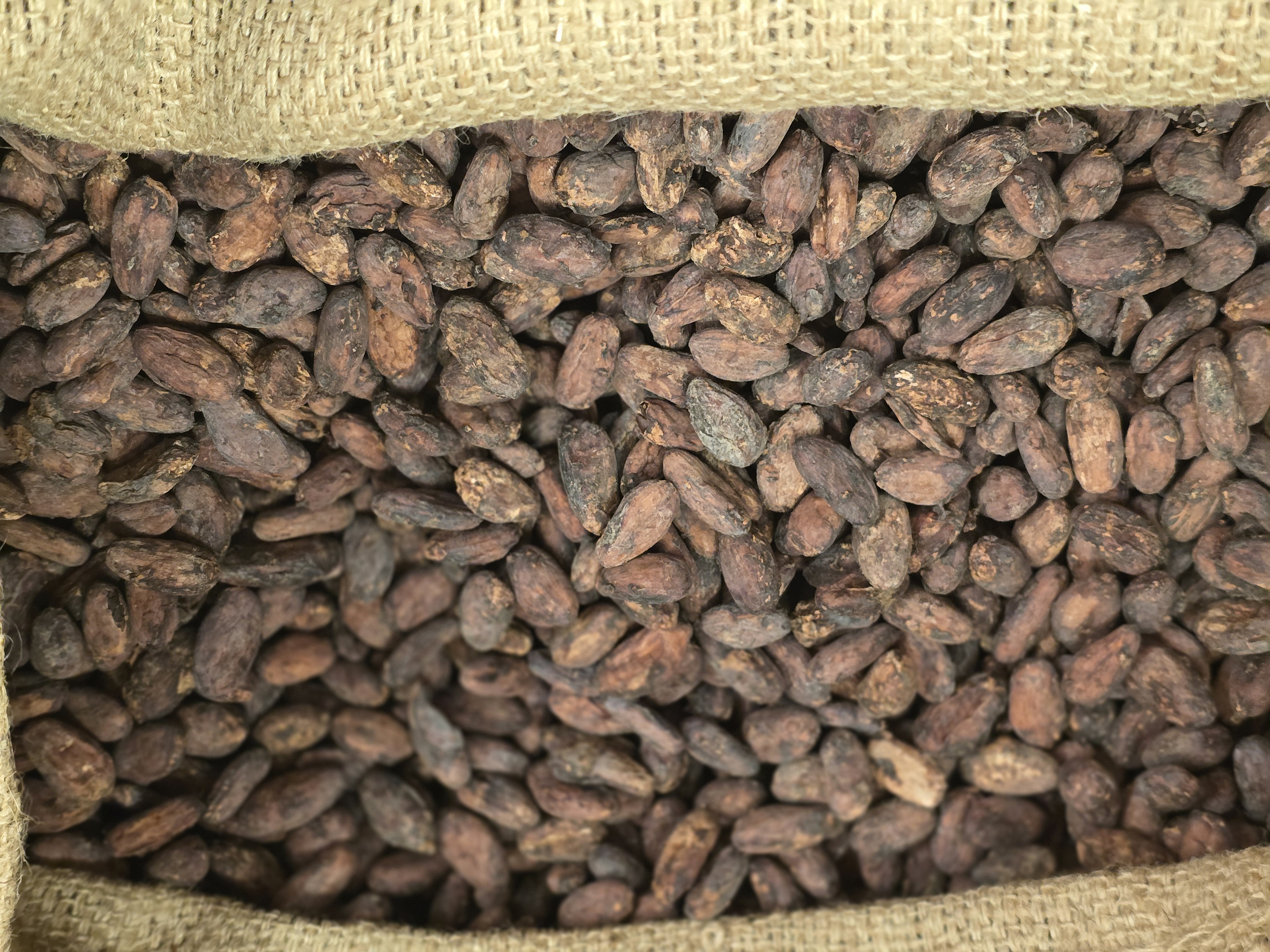 CHOCOLATERIE DU NOUVEAU MONDE