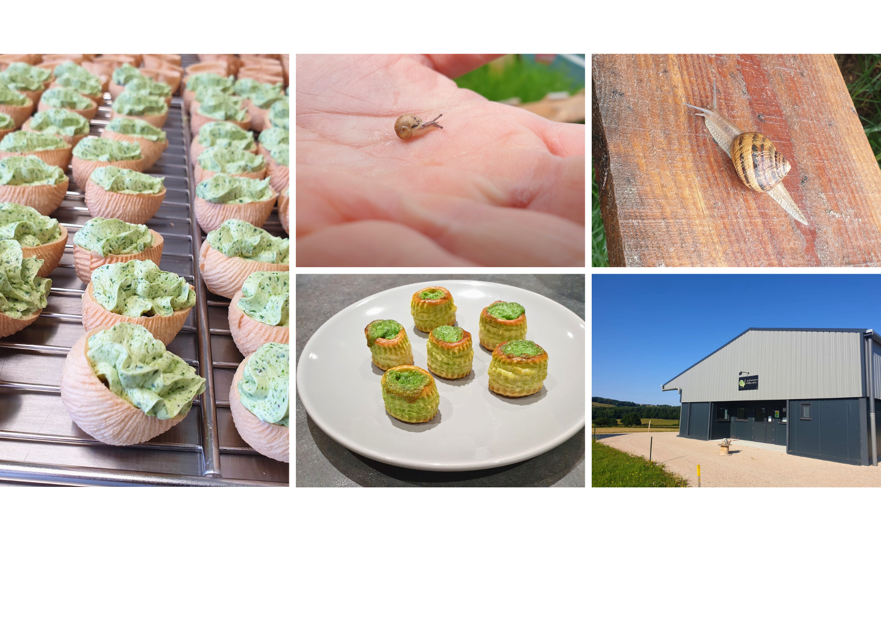 Les Escargots d'Estelle
