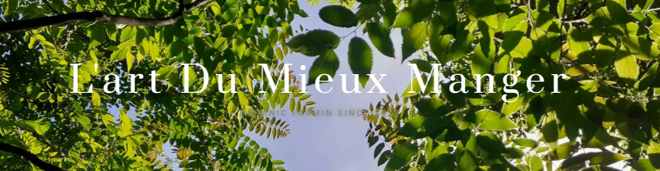 Les Jardins de Lautrec