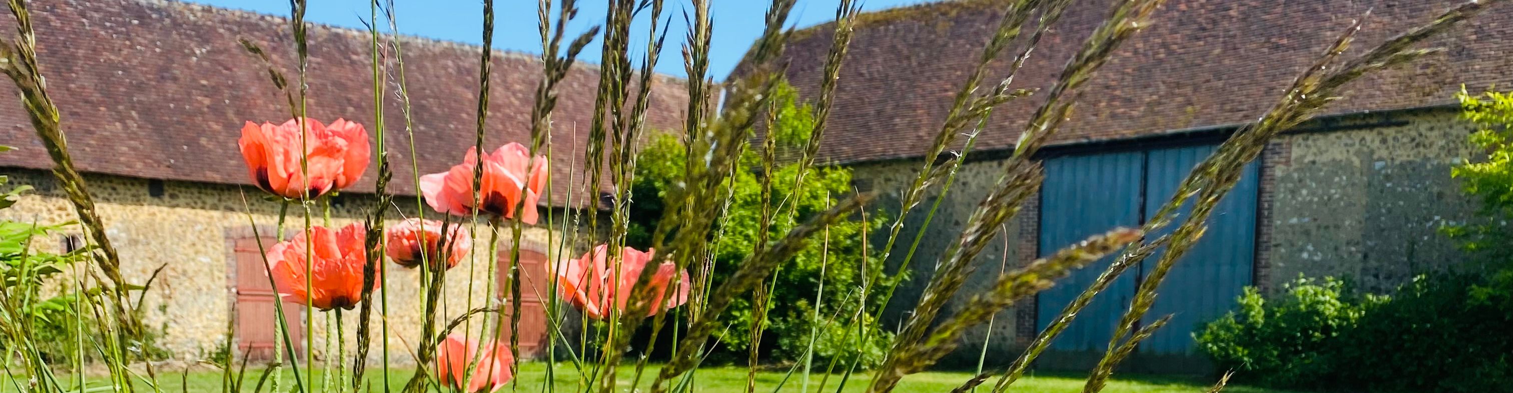 Ferme Beauchêne Paillot 
