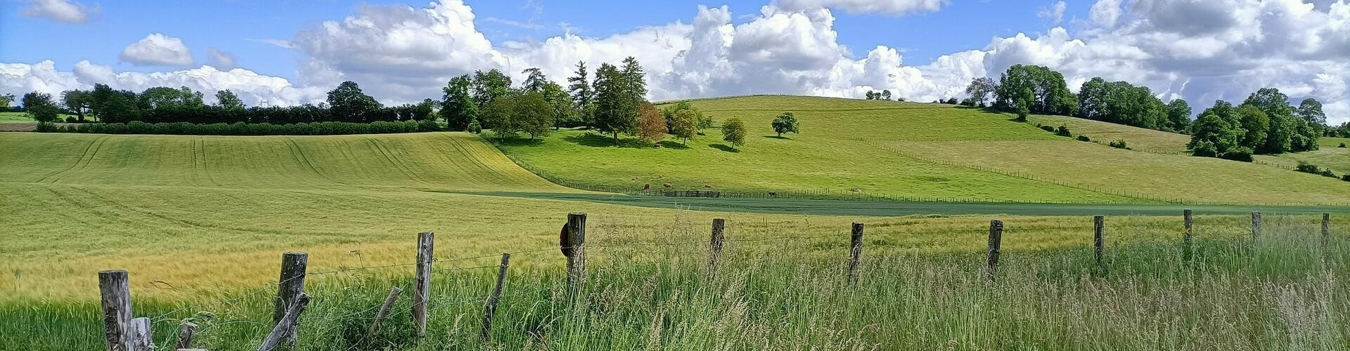 La Bergerie Du Regrimay 