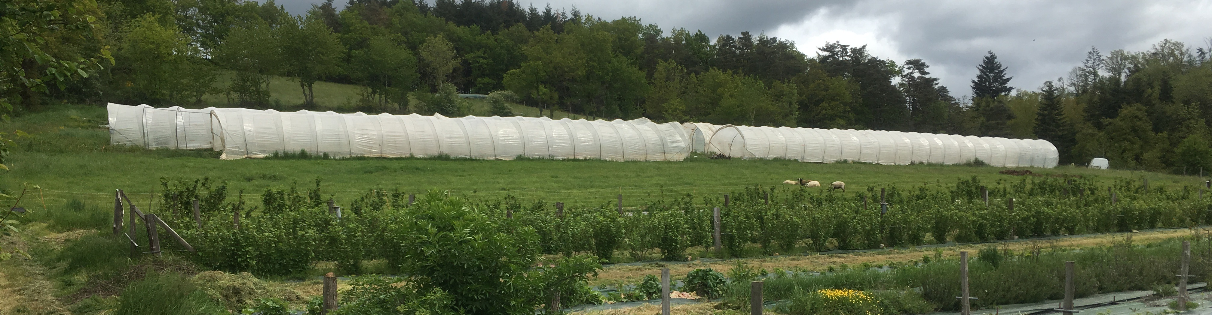 GAEC Les Trois Petits Fruits