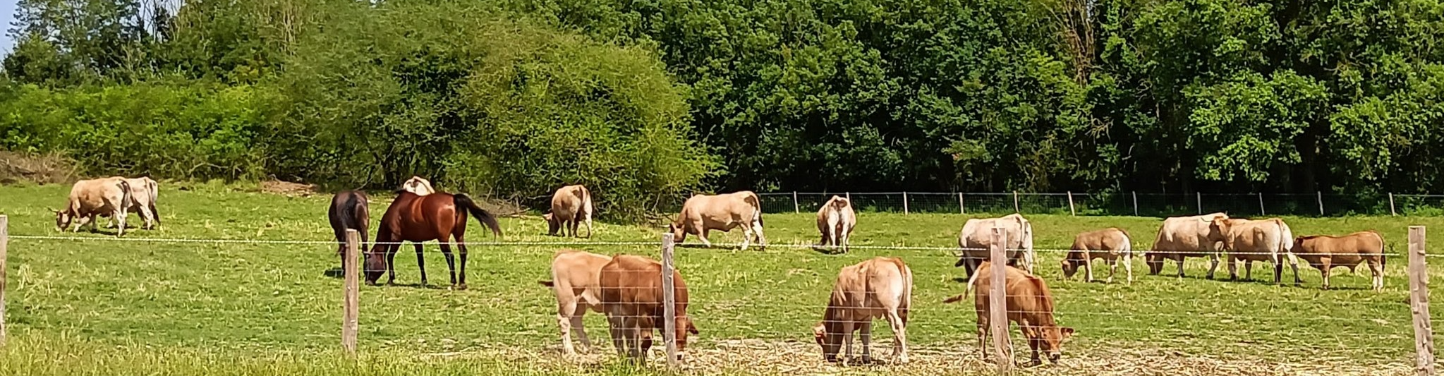 Ferme de la recette bio