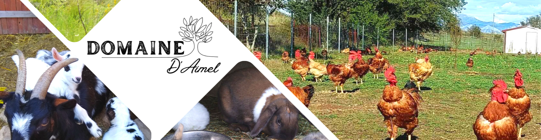 DOMAINE D'AIMEL