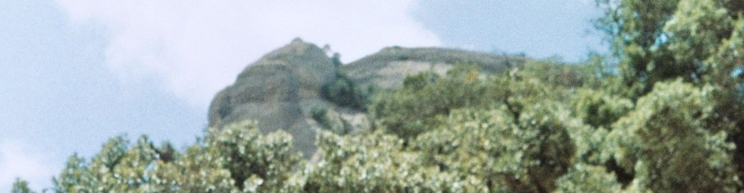 Jenny's Farm
