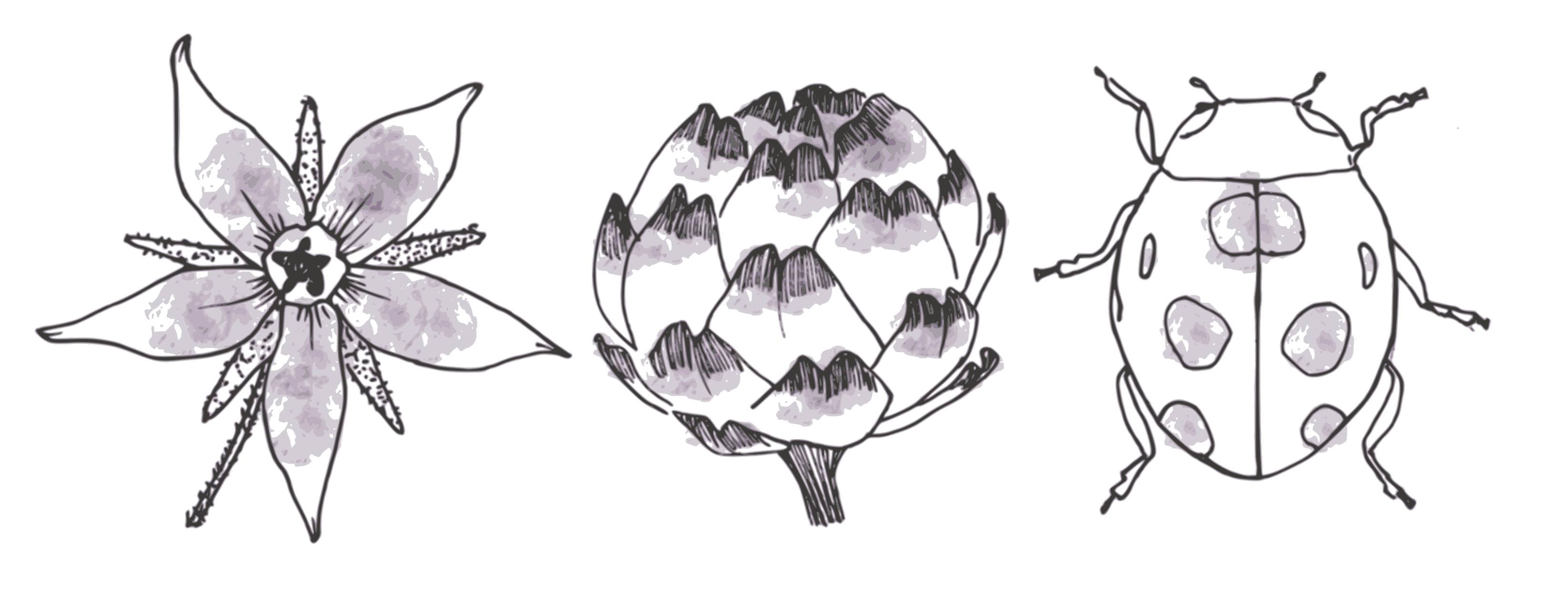 GAEC des Maraîchers de l'Auberdière 