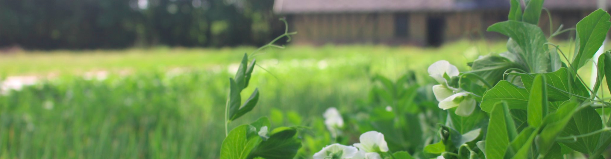 Les jardins du Theil