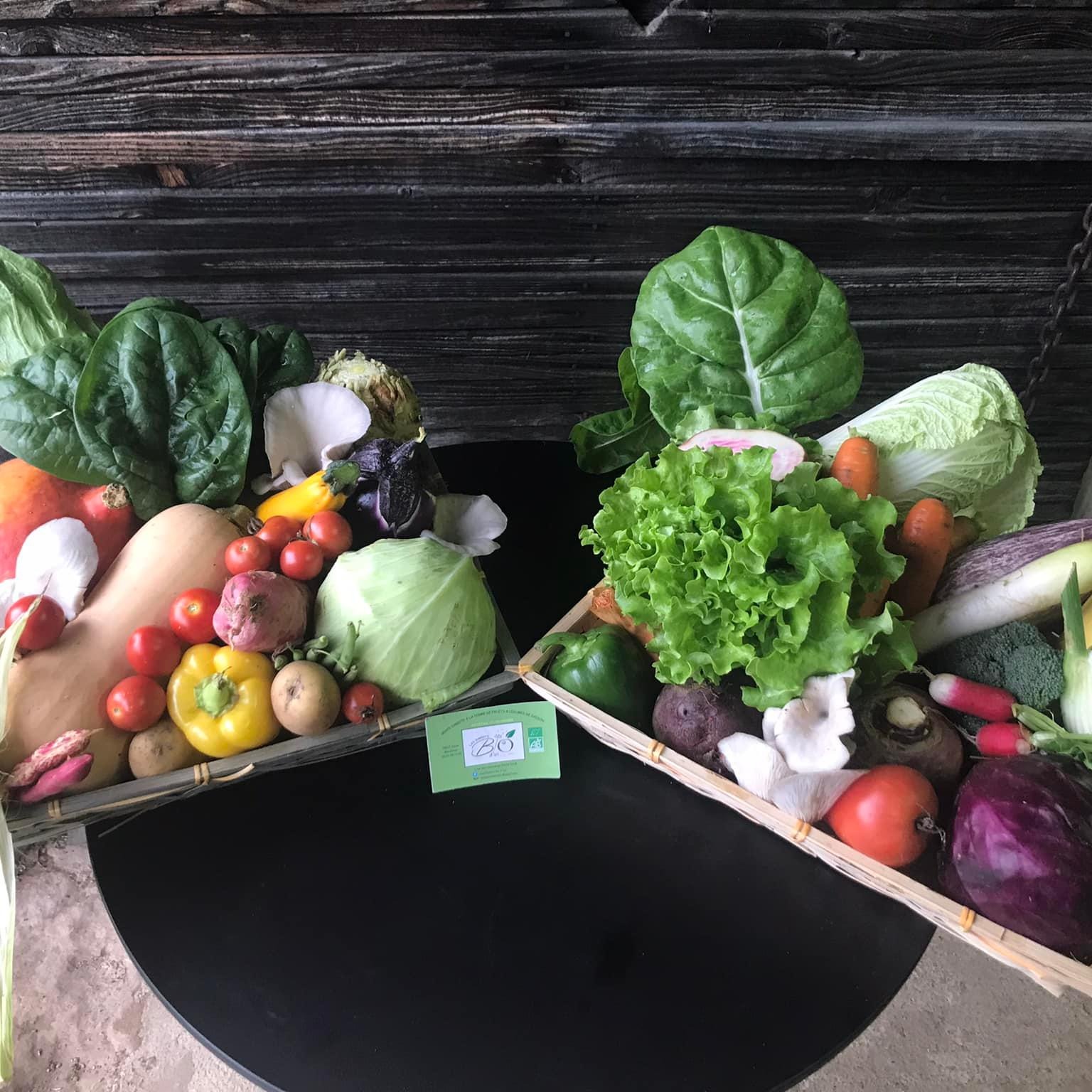 Les paniers bio d'ici