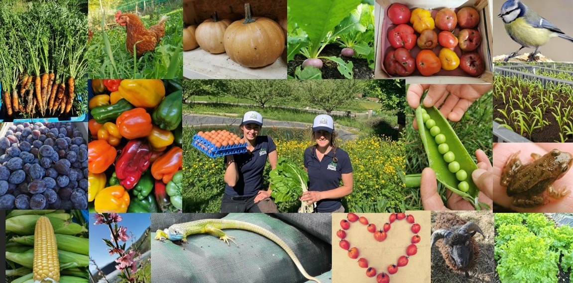 GAEC Terre de 2'mains