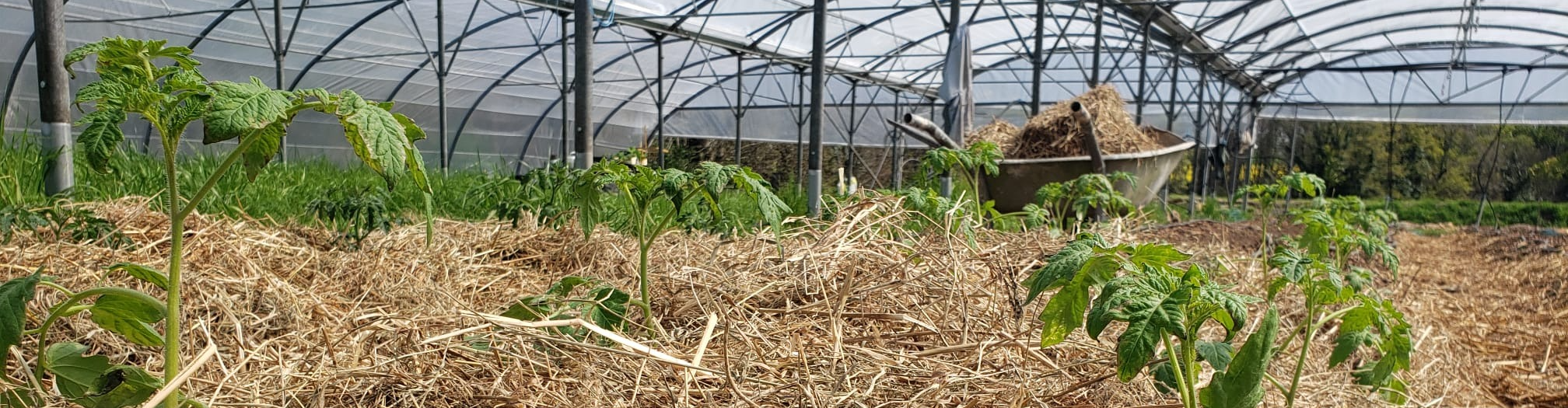 Les Jardins de Kerchopine