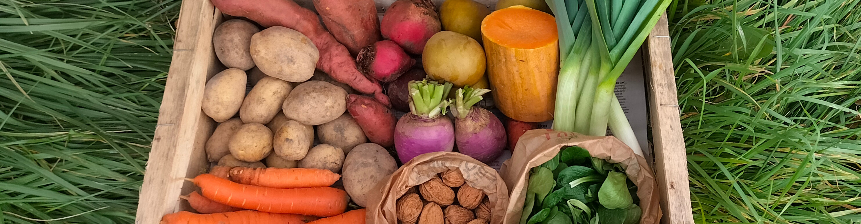 Les Paniers de Producteurs