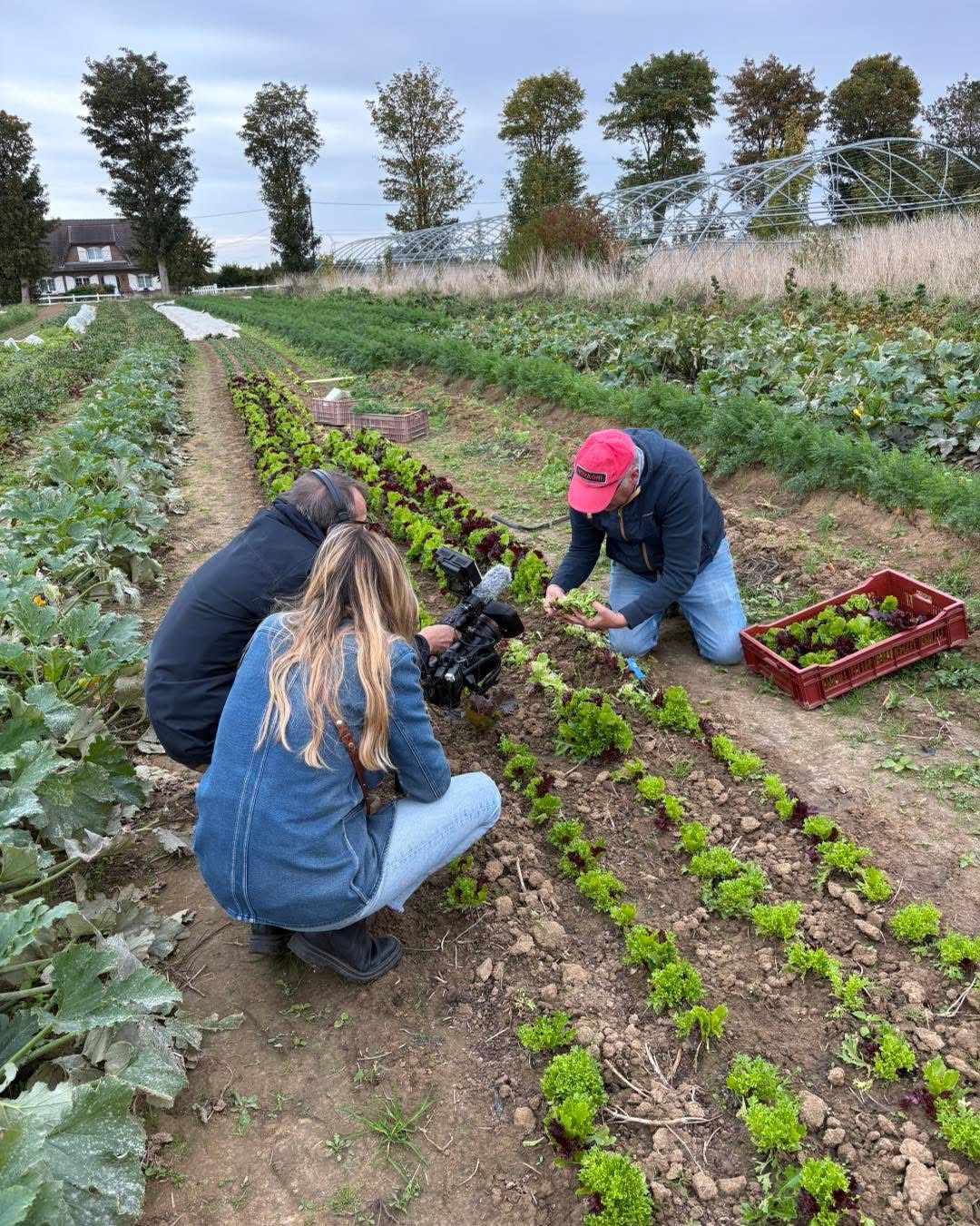 Au jardin de l'Artois