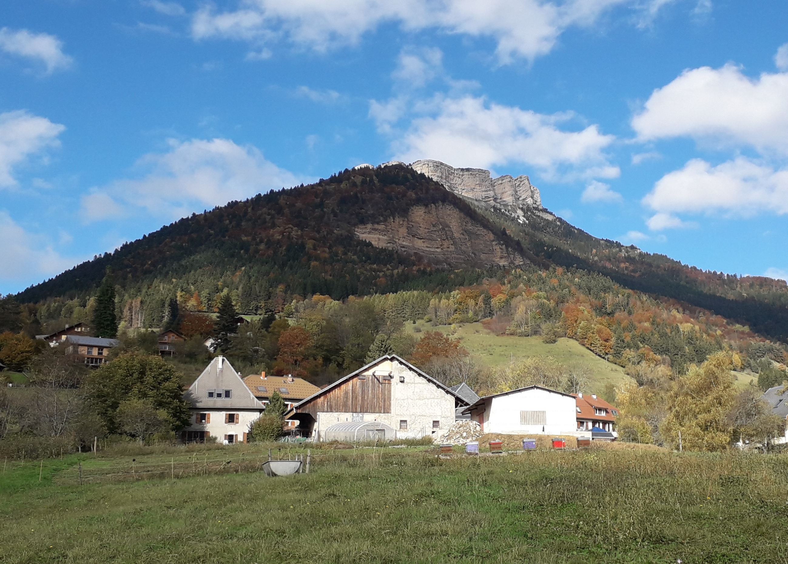 Ferme de l'oie
