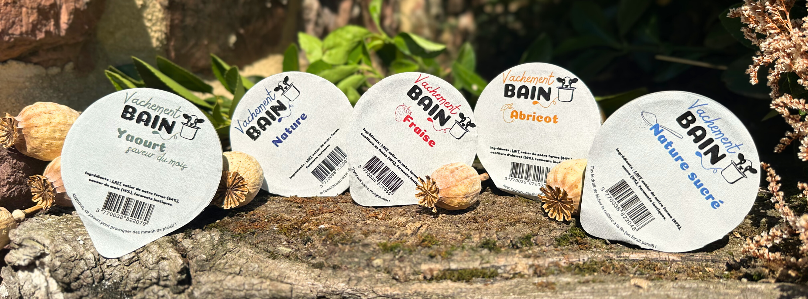 GAEC de la Théaudiere