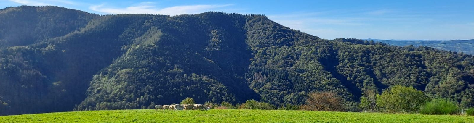 La Bergerie Du Freyche