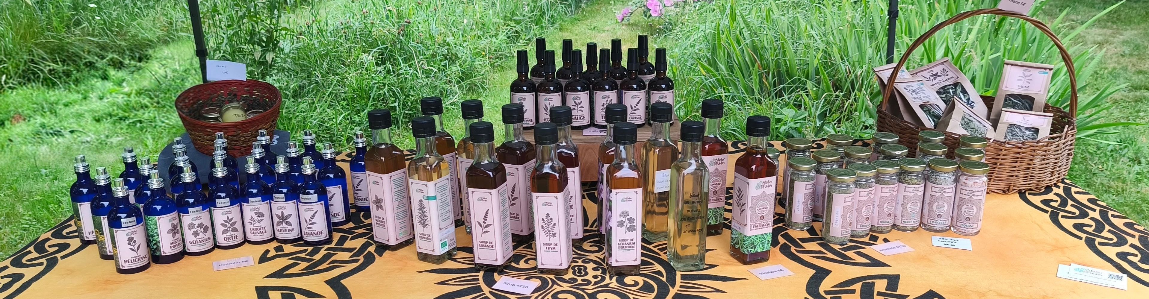 l'Atelier des Druides