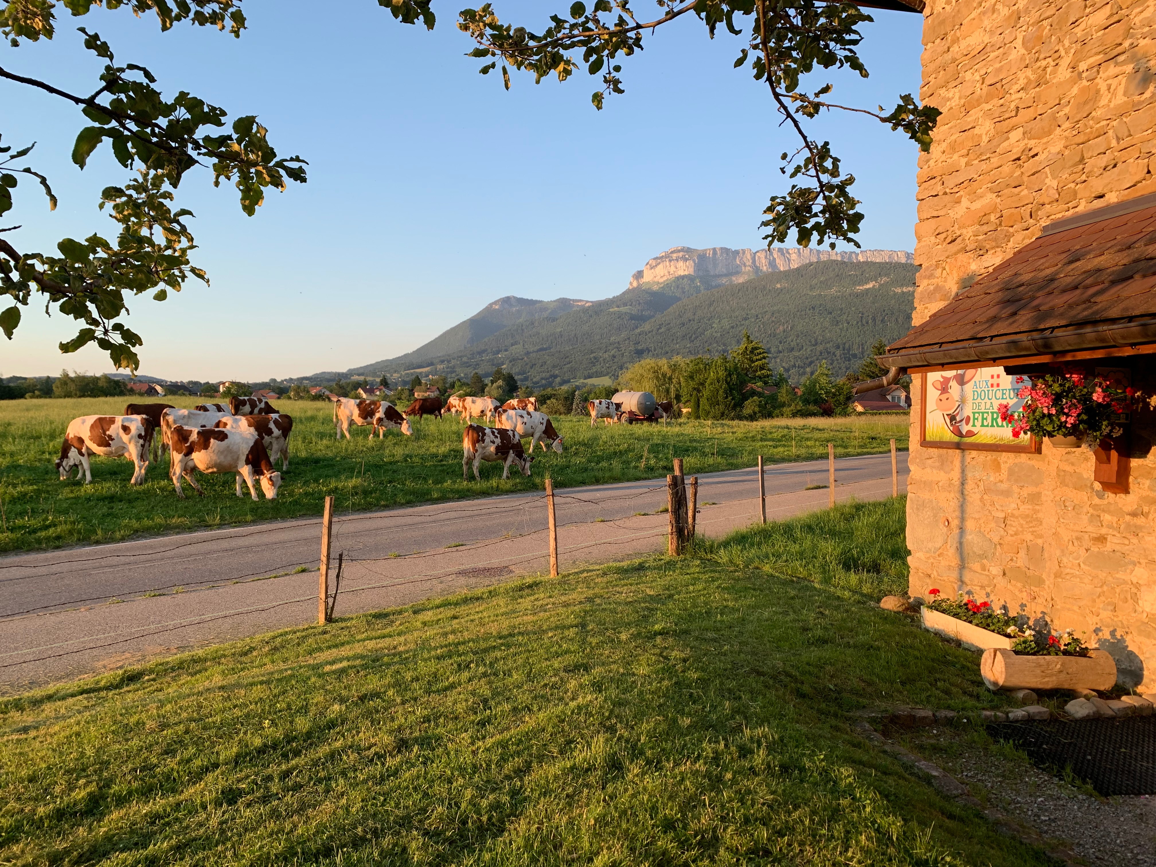 Aux Douceurs de la Ferme 