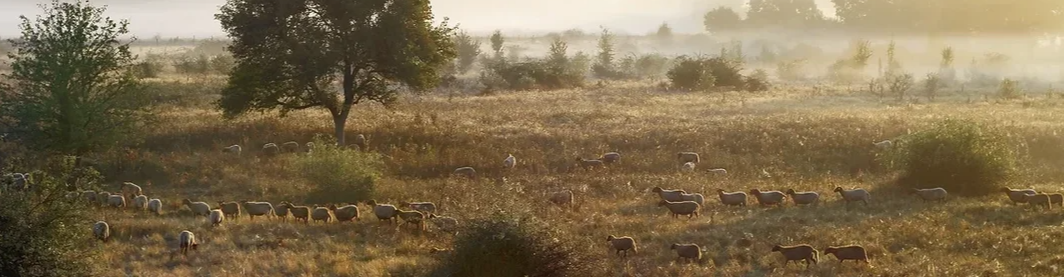 Domaine Sainte-Marie