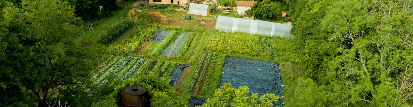 L'Arbre de Vie, micro-ferme créative