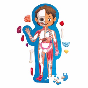 Puzzle 60pzas HUMAN BODY Hape