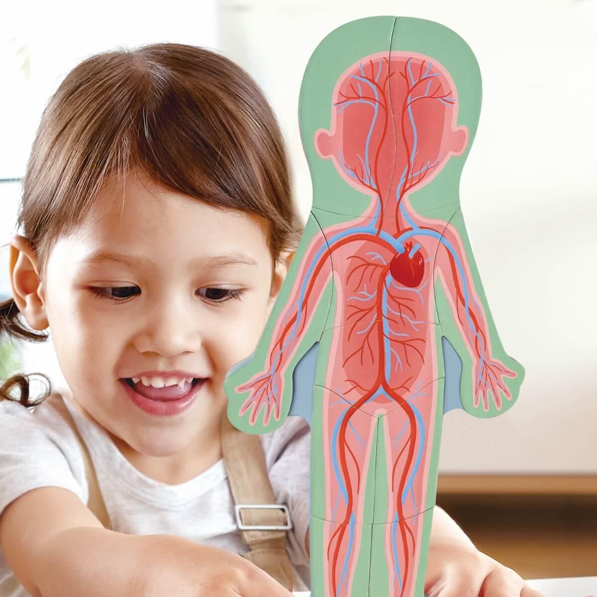 Puzzle magnético HUMAN BODY Hape