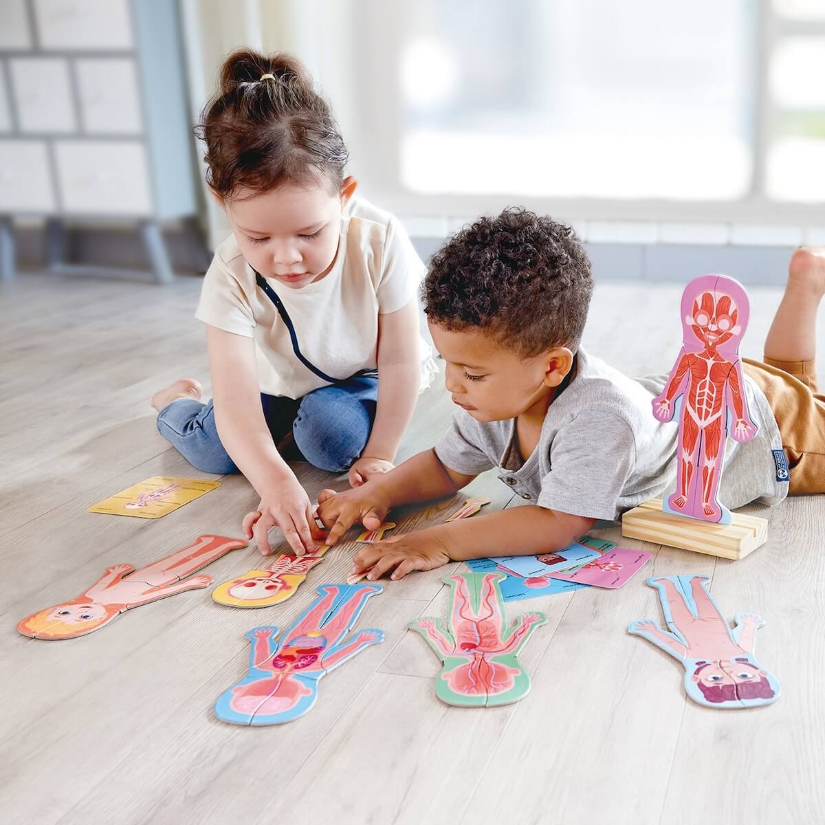 Puzzle magnético HUMAN BODY Hape