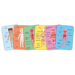 Puzzle magnético HUMAN BODY Hape