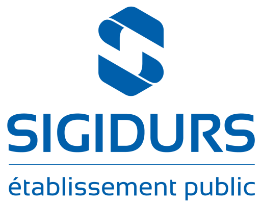 Logo de SIGIDURS TEST
