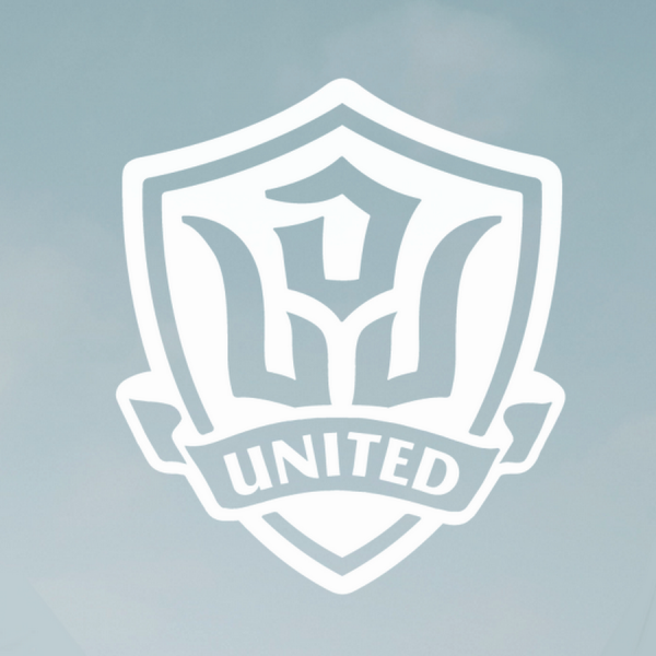 LDV United logo