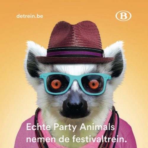NMBS_Festival_Train