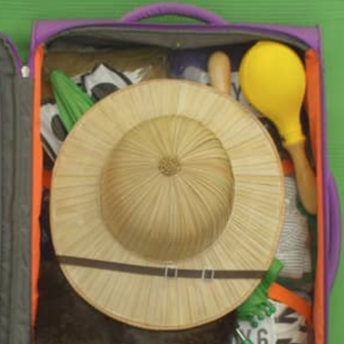 American Tourister vignette