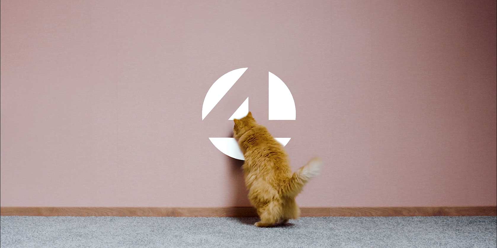 De kat krabt de reclame van de trap - PUB